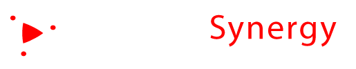 The Software Synergy Group